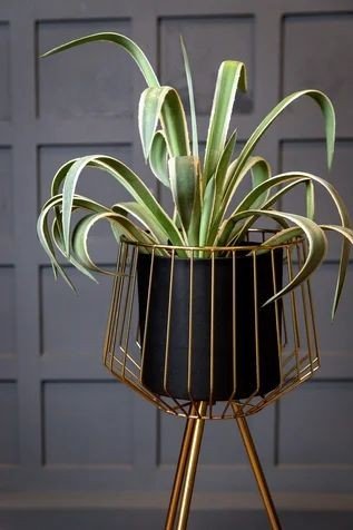 Adore black trapped heart planter (single) - Adore & Décor