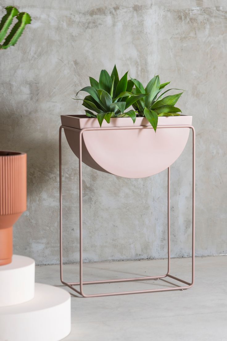 Adore colour bloom planter(single) - Adore & Décor
