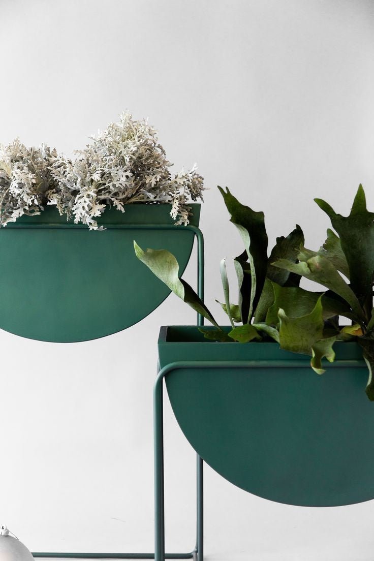 Adore colour bloom planter(single) - Adore & Décor