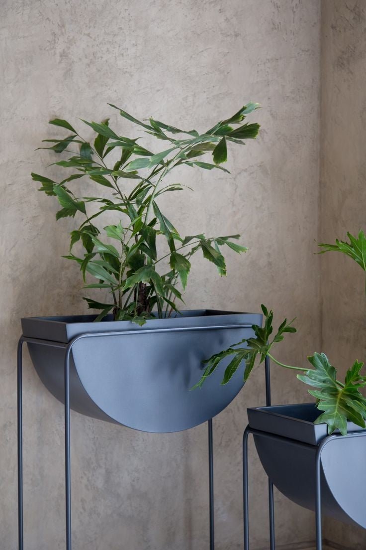 Adore colour bloom planter(single) - Adore & Décor