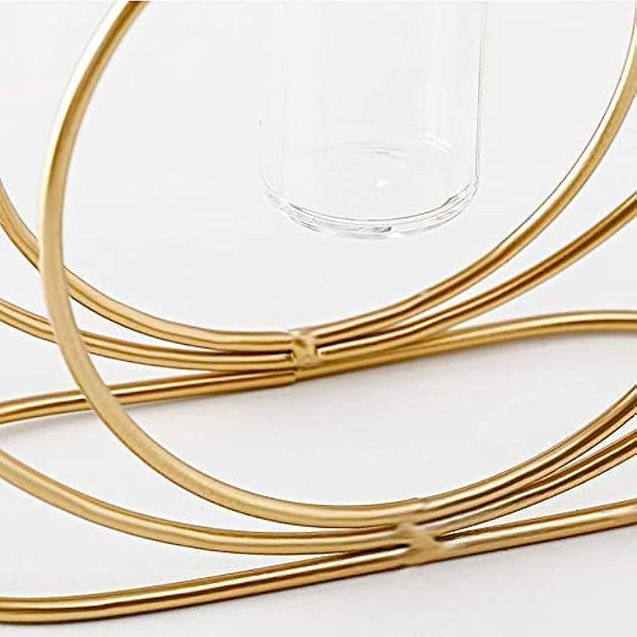Adore Double rings stand with test tube flower vase Adore and decor