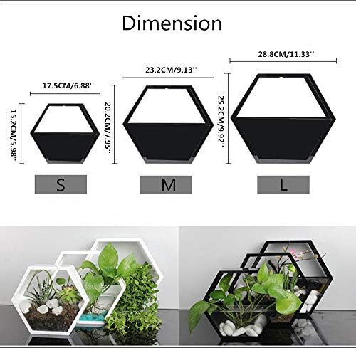 Adore hexagonal wall planter set - Adore & Décor