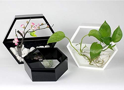 Adore hexagonal wall planter set - Adore & Décor