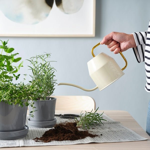 Adore Metal watering can - Adore & Décor