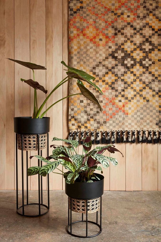 Adore French Connection Rattan Tall Geo Cane Planter - Black Set - Adore & Décor