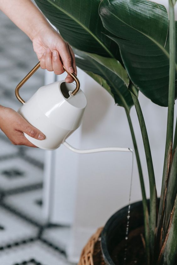 Adore Metal watering can - Adore & Décor