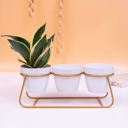 Adore 3 Pot table top planter