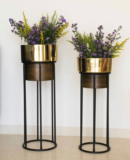 Adore golden carat planters duo