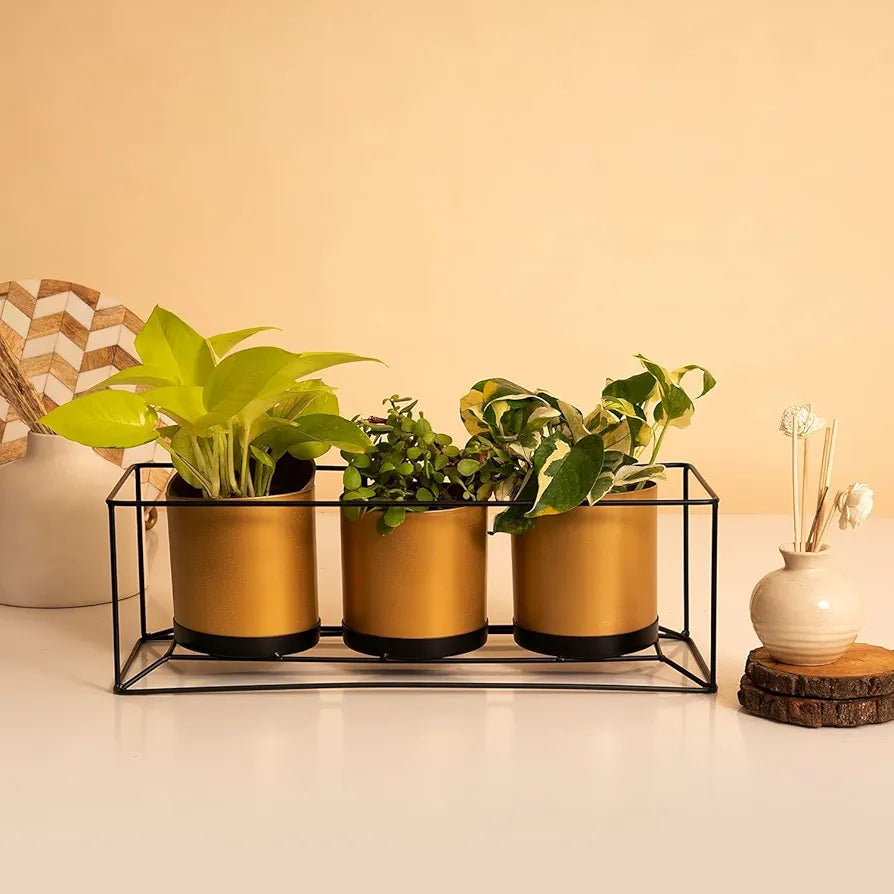 Adore triple golden vase planters