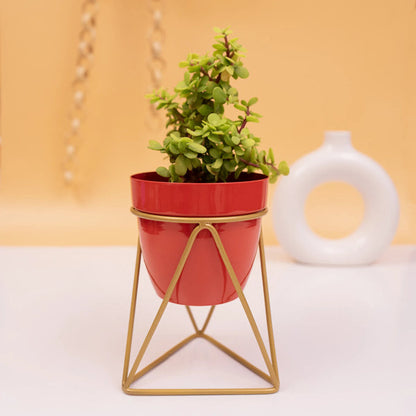 Table top metal triangular planter