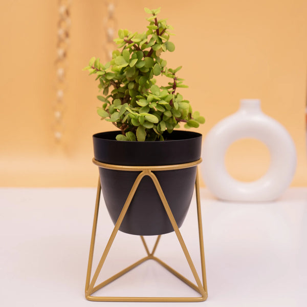 Table top metal triangular planter