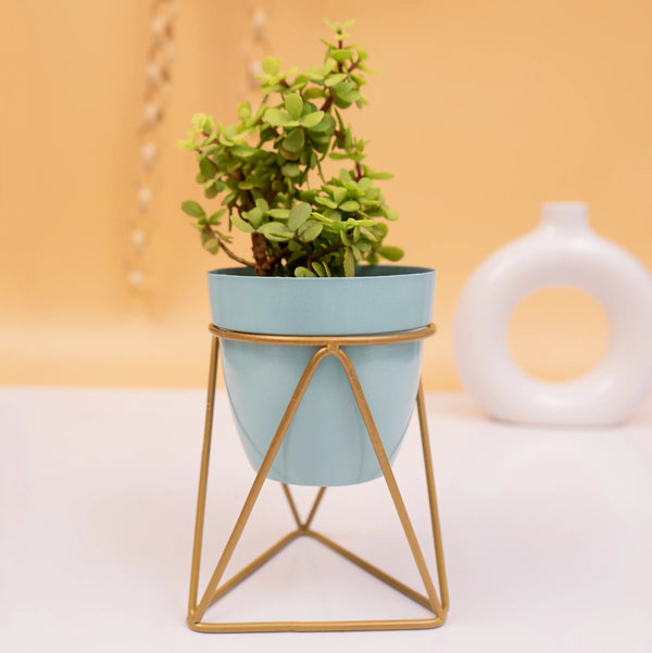 Table top metal triangular planter