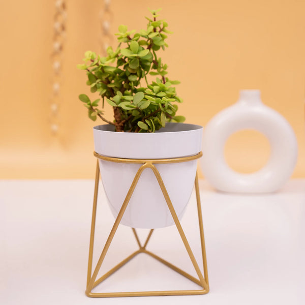 Table top metal triangular planter