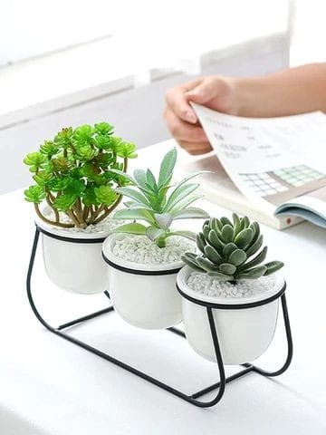 Adore 3 Pot table top planter