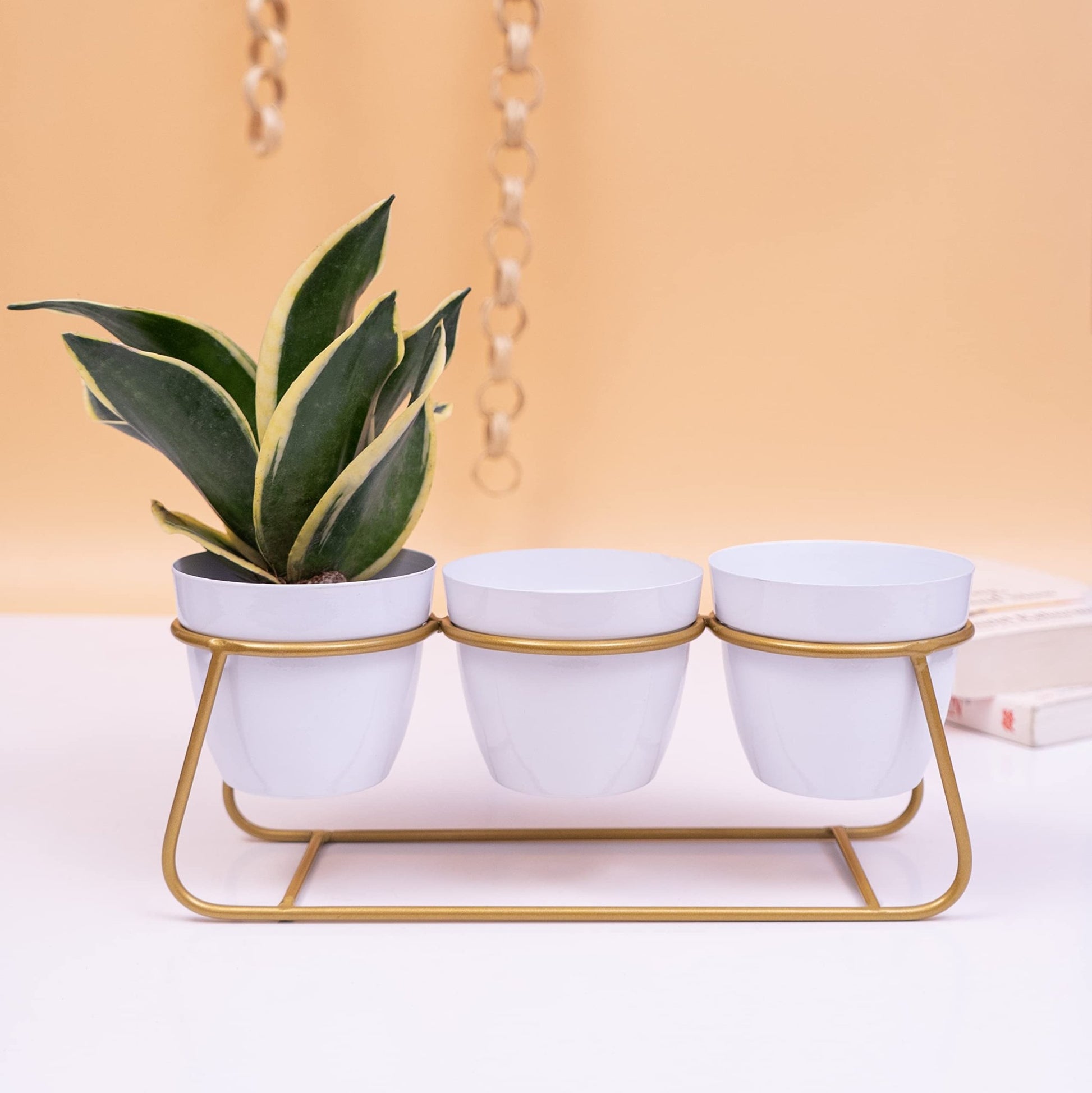 Adore 3 Pot table top planter - Adore & Décor