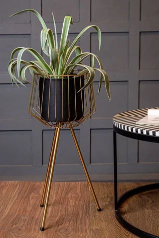 Adore black trapped heart planter (single) - Adore & Décor