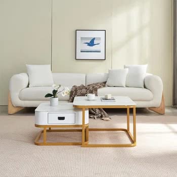 Adore Center Table with Storage Drawer and PVD Metal Frame - Adore & Décor