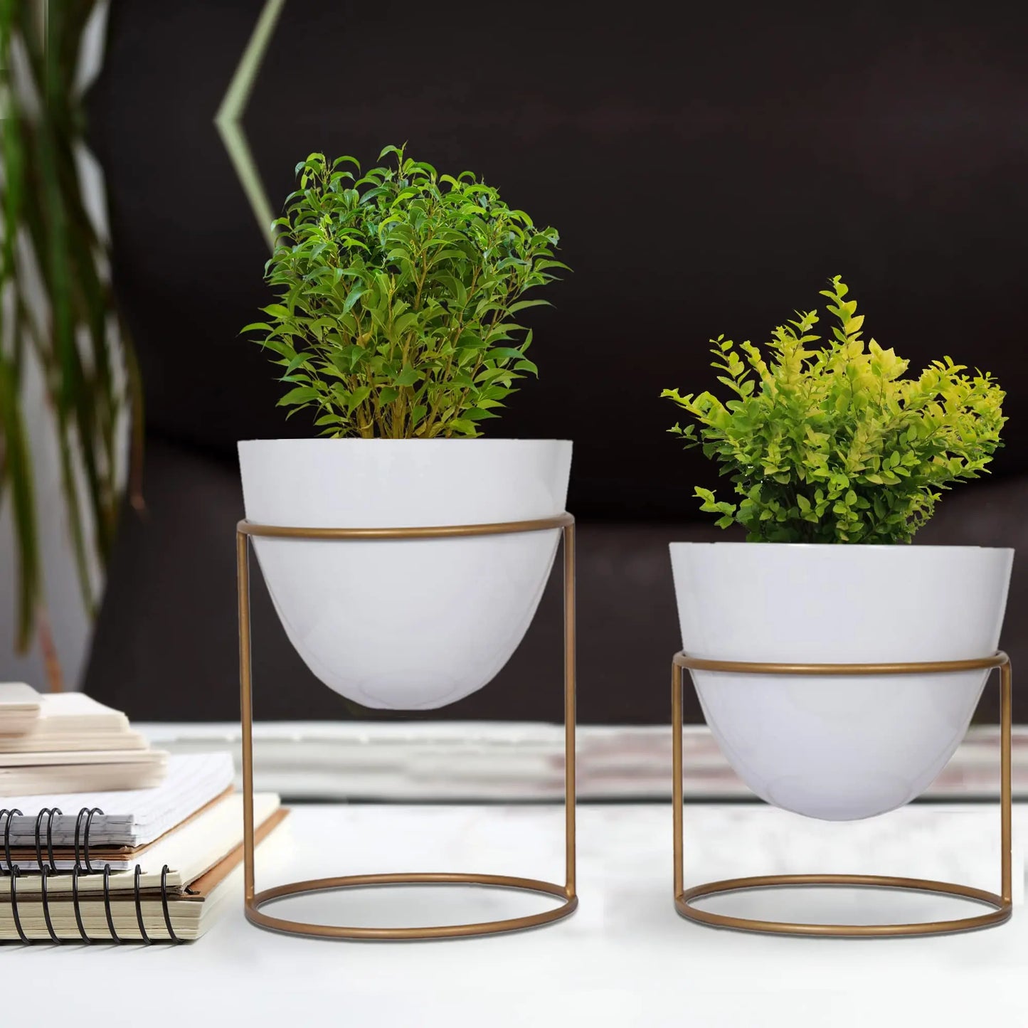 Adore Desktop planter with stand [single] - Adore & Décor