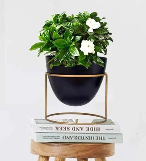Adore Desktop planter with stand [single] - Adore & Décor