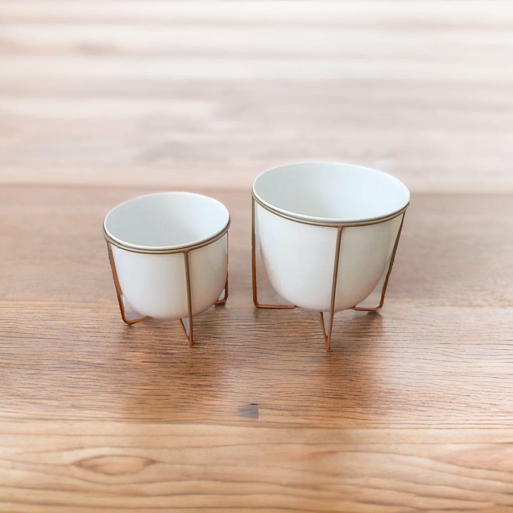 Adore Fancy indoor planter set of 2 with golden stand - Adore & Décor