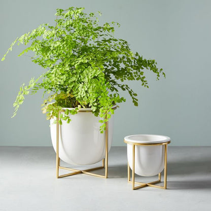 Adore Fancy indoor planter set of 2 with golden stand - Adore & Décor