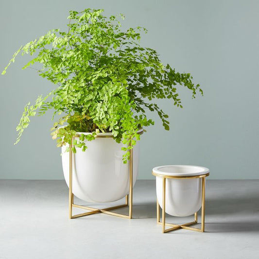 Adore Fancy indoor planter set of 2 with golden stand - Adore & Décor