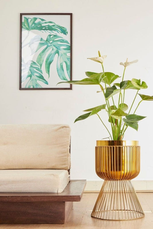 Adore golden glaze metal plater (single) - Adore & Décor
