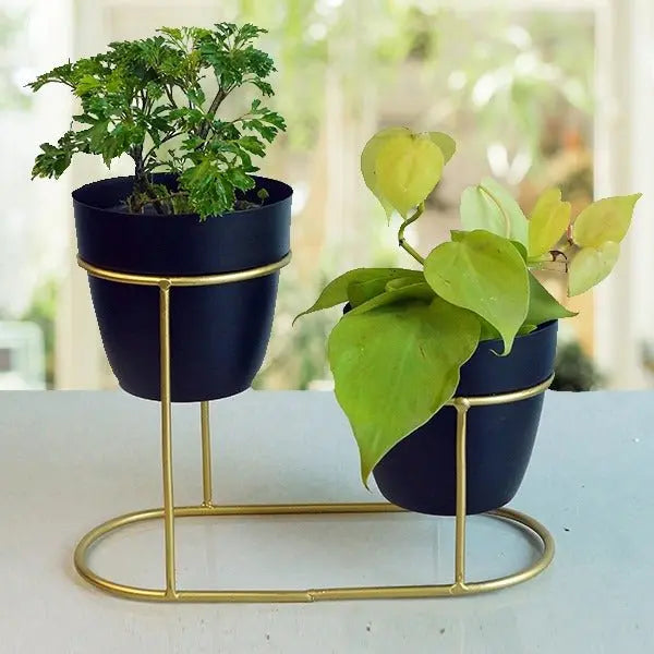 Adore Planter set with stand - Adore & Décor