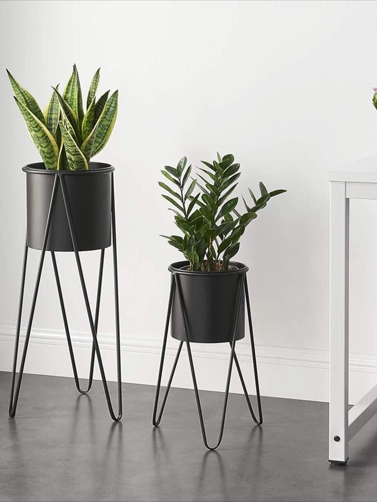 Adore star stud planter (single) - Adore & Décor