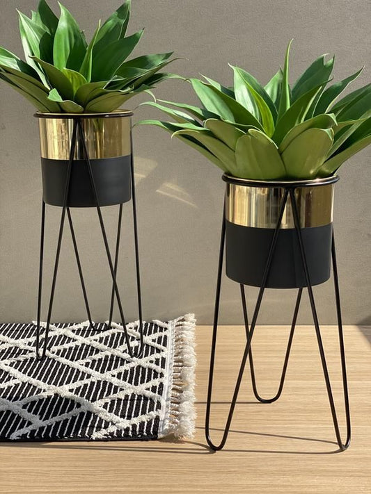 Adore star stud planter (single) - Adore & Décor