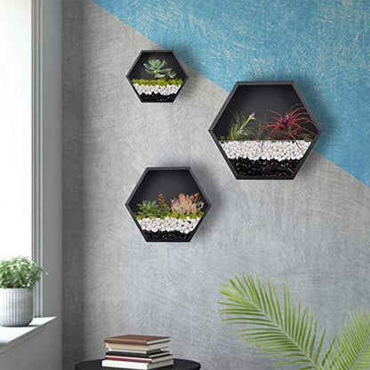 Adore hexagonal wall planter set