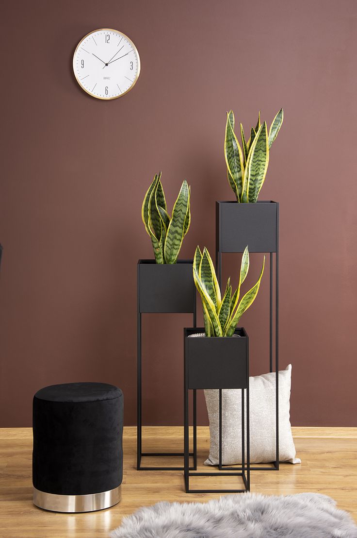 Adore black magic planter set