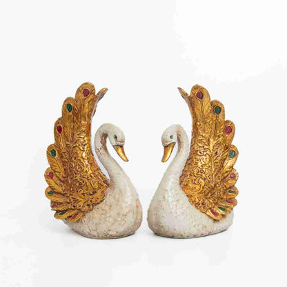 Adore golden swan pair