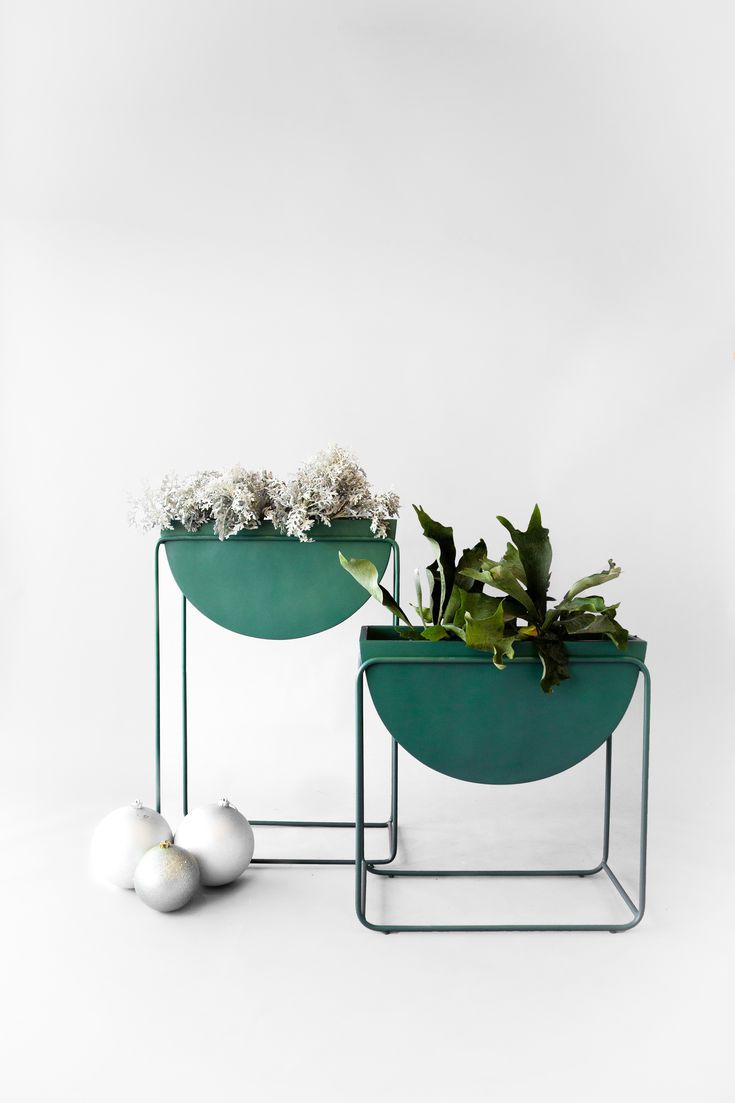 Adore colour bloom planter(single)