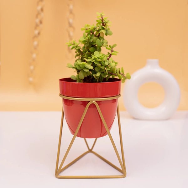 Table top metal triangular planter - Adore & Décor