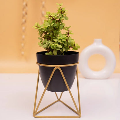 Table top metal triangular planter - Adore & Décor