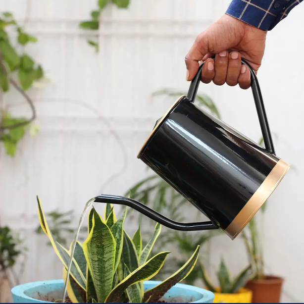 Adore Metal Watering Can [Curved beak]