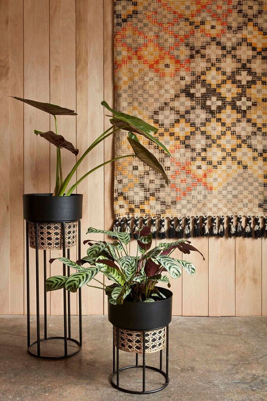 Adore French Connection Rattan Tall Geo Cane Planter - Black Set - Adore & Décor