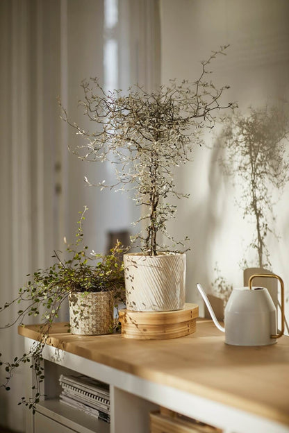 Adore Metal watering can - Adore & Décor