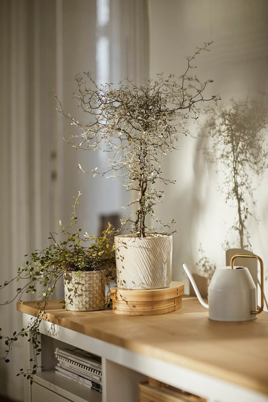 Adore Metal watering can - Adore & Décor