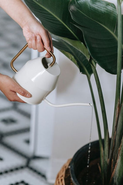 Adore Metal watering can - Adore & Décor