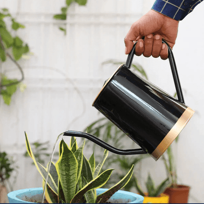 Adore Metal Watering Can [Curved beak] - Adore & Décor