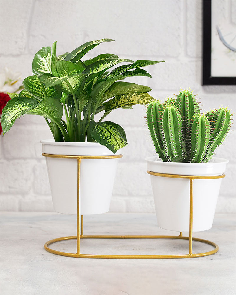 Adore Planter set with stand