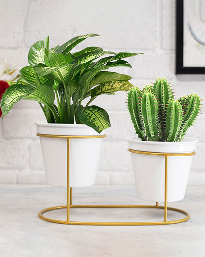 Adore Planter set with stand